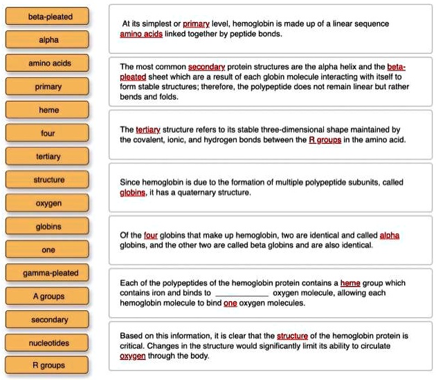 i got stuck and need help filling in the blanks beta pleated at its