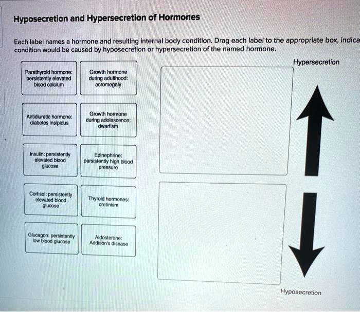 solved-hyposecretion-and-hypersecretion-of-hormones-each-label-names-a