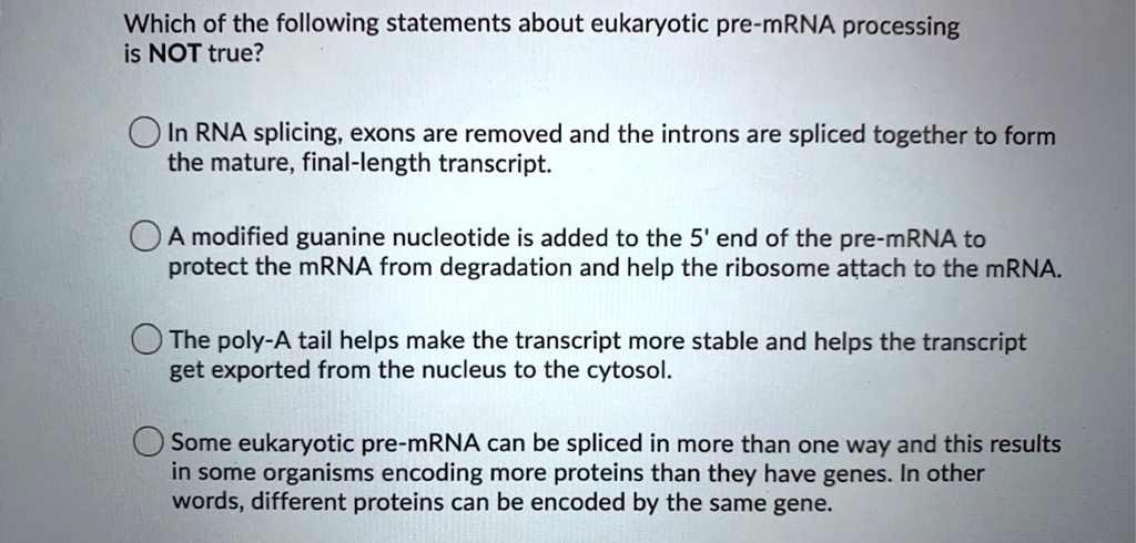 Which Of The Following Is Not True Of Rna Processing