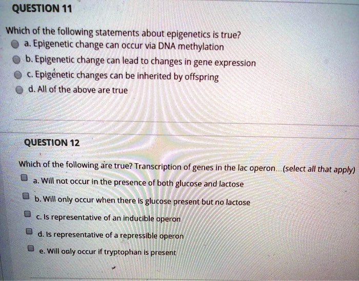 Solved:question 11 Which Of The � Following Statements About Epigenetics Is  True? Epigenetic Change Can Occur Via Dna Methylation Epigenetic Change Can  Lead To Changes In Gene Expression Epigenetic Changes Can Be Solved:question 11 Which Of The � Following Statements About Epigenetics Is  True? Epigenetic Change Can Occur Via Dna Methylation Epigenetic Change Can  Lead To Changes In Gene Expression Epigenetic Changes Can Be