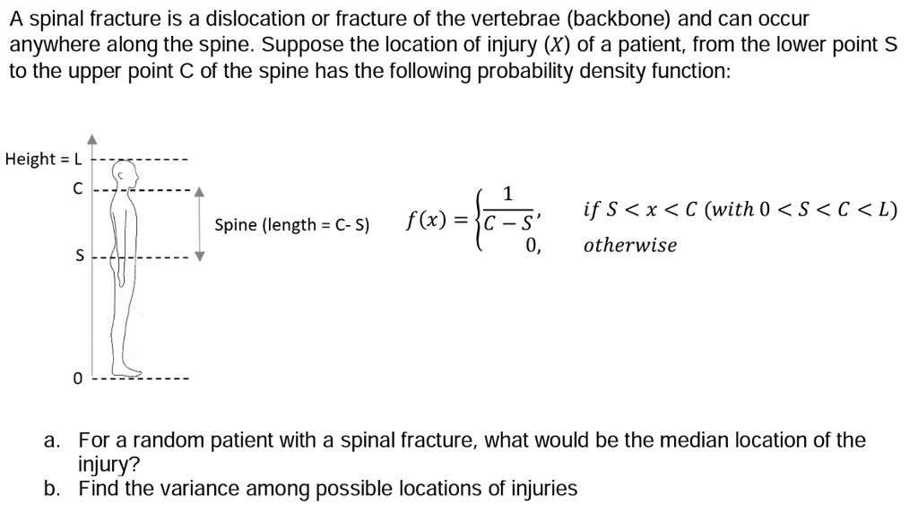 SOLVED: A spinal fracture is a dislocation or fracture of the vertebrae ...