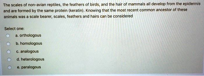 Reptile Scales, Bird Feathers, Mammal Hairs E