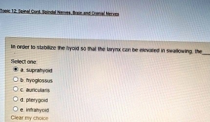 Topic 12: Spinal Cord, Spindal Nerves, Brain and Cranial Nerves
In order to stabilize the hyoid so that the larynx can be elevated in swallowing, the
Select one:
a. suprahyoid
b. hyoglossus
c. auricularis
d. pterygoid
e. infrahyoid
Clear my choice