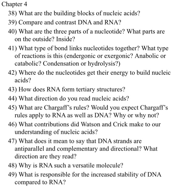 SOLVEDChapter 4 38) What are the building blocks of nucleic acids? 39