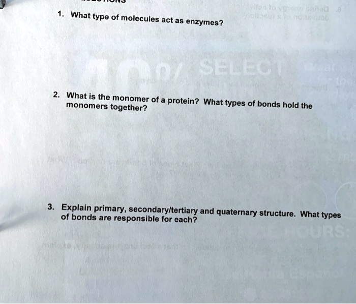SOLVED What type of molecules act as enzymes? nin What is the monomer