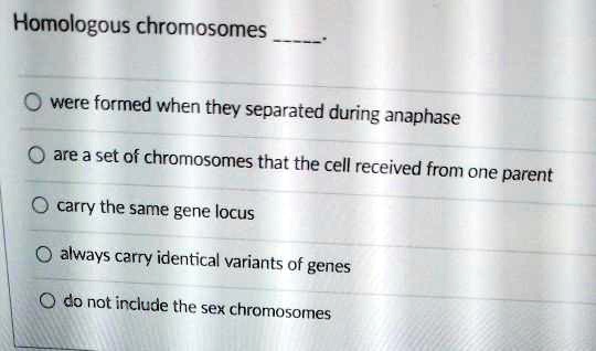 Homologous chromosomes .

were formed when they separated during anaphase
are a set of chromosomes that the cell received from one parent
carry the same gene locus
always carry identical variants of genes
do not include the sex chromosomes