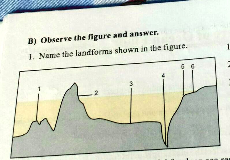 b observe the figure and answer1 name the landforms shown in the ...
