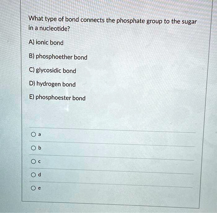 What type of bond connects the phosphate group to the sugar in a nucleotide?
A) ionic bond
B) phosphoether bond
C) glycosidic bond
D) hydrogen bond
E) phosphoester bond