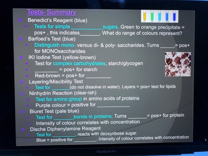 SOLVED TestsSummary Benedicts Reagent (blue) Tests for simple sugars