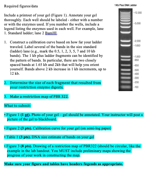 SOLVED: Required Figures' Data Tkb Plus DNA Lectct 12,000 Include a ...