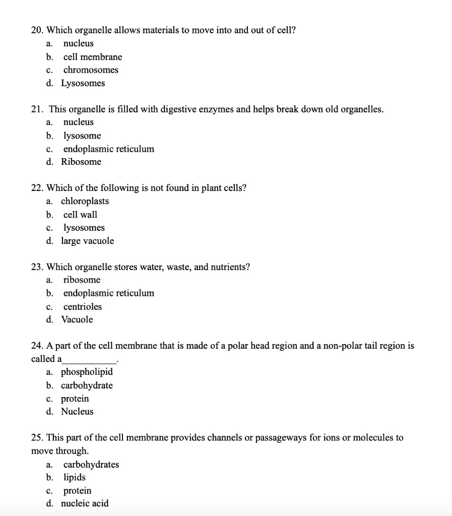 20. Which organelle allows materials to move into and out of cell?
a. nucleus
b. cell membrane
c. chromosomes
d. Lysosomes
21. This organelle is filled with digestive enzymes and helps break down old organelles.
a. nucleus
b. lysosome
c. endoplasmic reticulum
d. Ribosome
22. Which of the following is not found in plant cells?
a. chloroplasts
b. cell wall
c. lysosomes
d. large vacuole
23. Which organelle stores water, waste, and nutrients?
a. ribosome
b. endoplasmic reticulum
c. centrioles
d. Vacuole
24. A part of the cell membrane that is made of a polar head region and a non-polar tail region is called a 
a. phospholipid
b. carbohydrate
c. protein
d. Nucleus
25. This part of the cell membrane provides channels or passageways for ions or molecules to move through.
a. carbohydrates
b. lipids
c. protein
d. nucleic acid