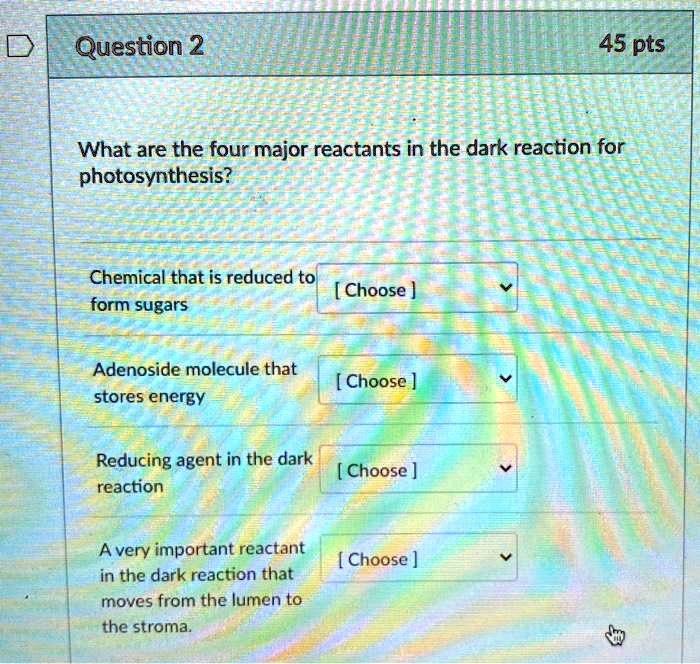 Solved Question 2 45 Pts What Are The Four Major Reactants In The Dark