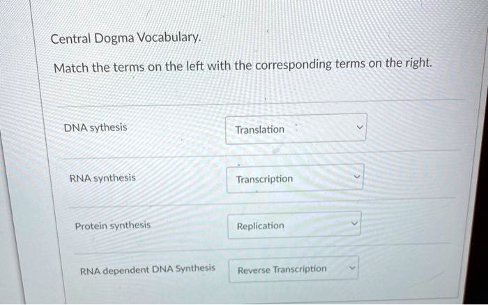 SOLVED: Central Dogma Vocabulary Match the terms on the left with the ...