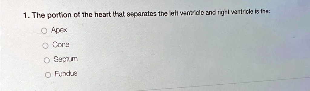 SOLVED: The portion of the heart that separates the left ventricle and ...