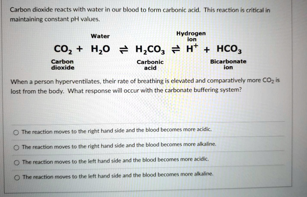 SOLVED Carbon Dioxide Reacts With Water In Our Blood To Form Carbonic 