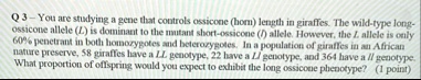 q 3 you are studying a gene that controls ossicone horn length in giraffes the wild type long ossicone allele l is dominant to the mutant short ossicone l allele however the l allele is only 43122