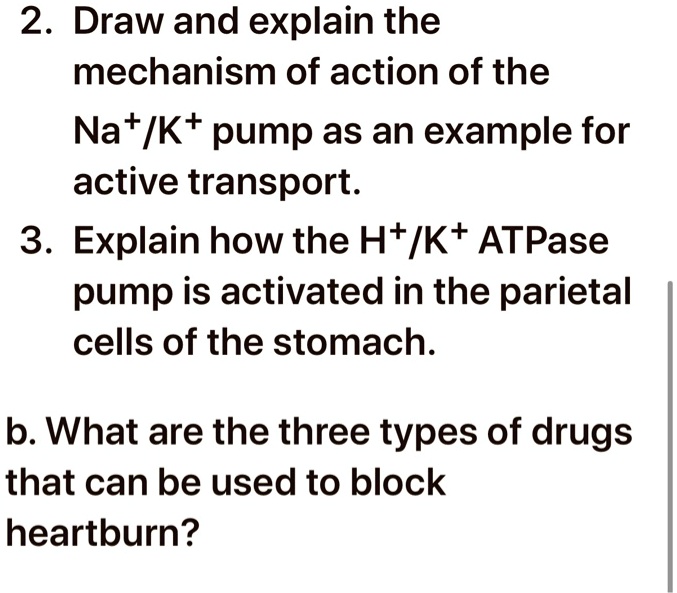 SOLVED 2. Draw and explain the mechanism of action of the Na+/K+ pump