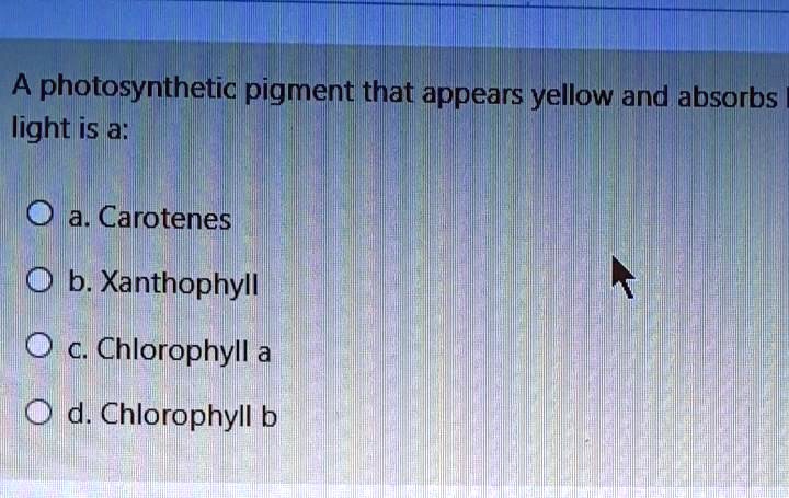 A photosynthetic pigment that appears yellow and absorbs light is a:
a. Carotenes
b. Xanthophyll
c. Chlorophyll a
d. Chlorophyll b