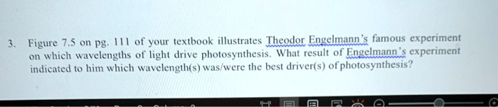 theodor engelmann photosynthesis experiment