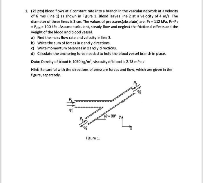 SOLVED Blood flows at a constant rate into a branch in the vascular