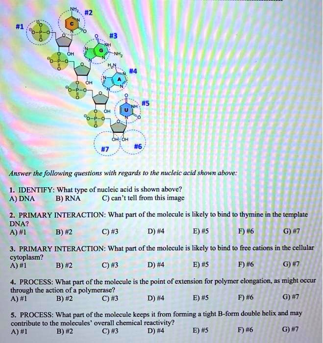 SOLVED OH; OH Answer the following questions with regards t0 the