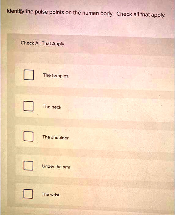 SOLVED: Identify the pulse point on the human body. check all that ... Biology Diagrams