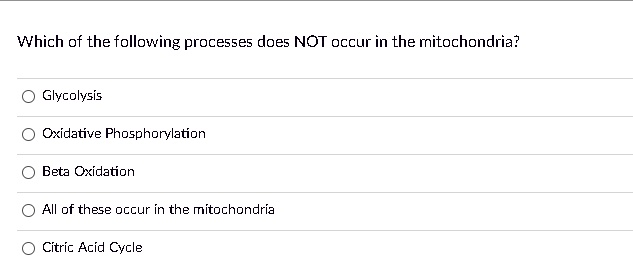 Which Of The Following Does Not Occur In The Mitochondria SOLVED: Which of the following processes does NOT occur in the