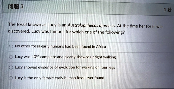 The fossil known as Lucy is an Australopithecus afarensis. At the time her fossil was discovered, Lucy was famous for which one of the following?
No other fossil early humans had been found in Africa
Lucy was 40% complete and clearly showed upright walking
Lucy showed evidence of evolution for walking on four legs
Lucy is the only female early human fossil ever found