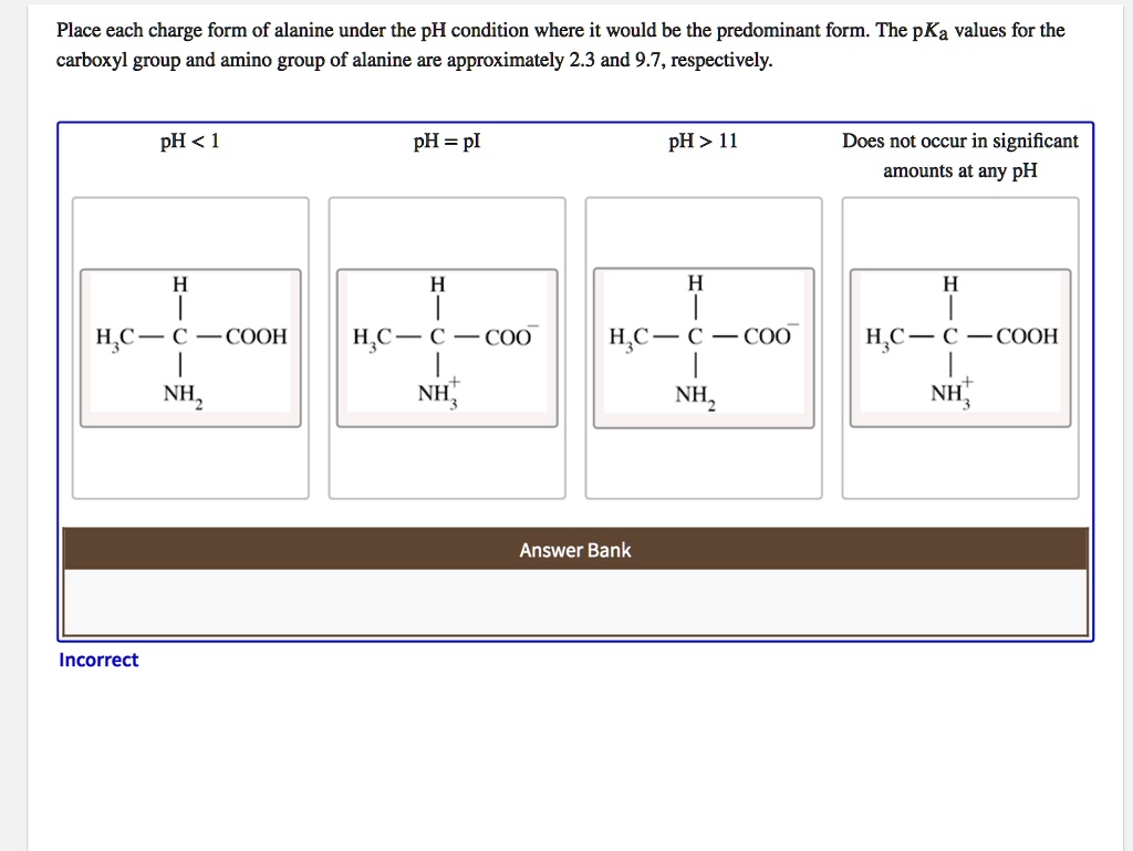 Place each charge form of alanine under the ph condition...