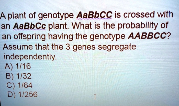 SOLVED: Aplant Of Genotype AaBbCC Is Crossed With An AaBbCc Plant. What ...