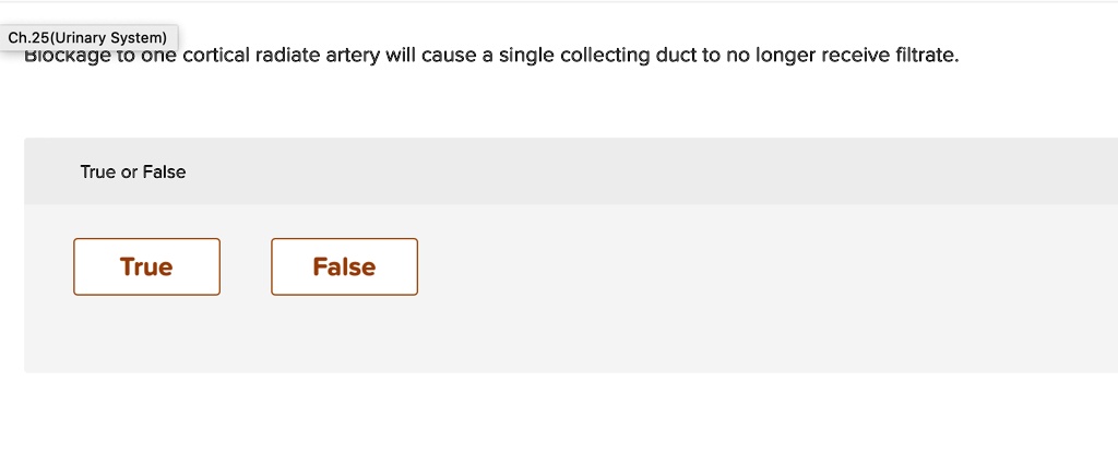 Blockage to one cortical radiate artery will cause a single collecting duct to no longer receive filtrate.

True or False

True

False