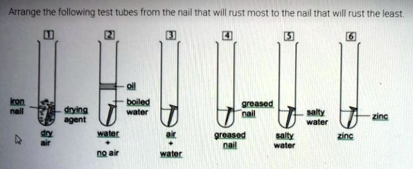 arrange the following test tubes from the nail that will rust most t0 ...