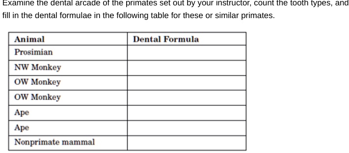 SOLVED: Examine the dental arcade of the primates set out by your