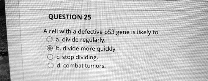 SOLVED: QUESTION 25 A cell with a defective p53 gene is likely to a