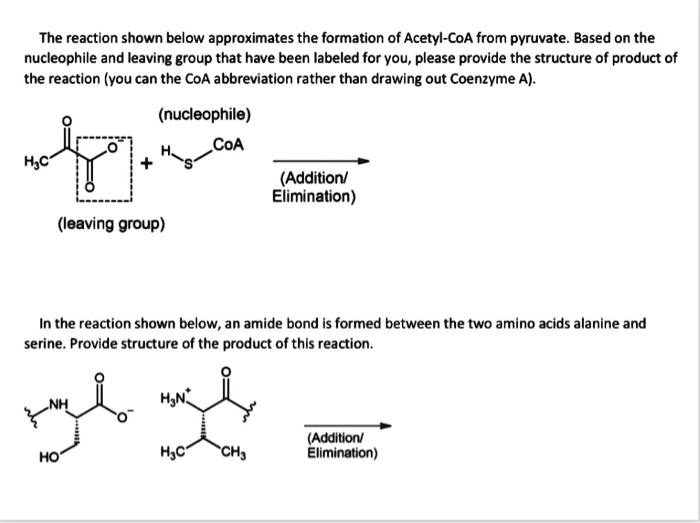 the reaction shown below approximates the formation of acetyl coa from ...