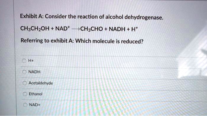 Exhibit A: Consider the reaction of alcohol dehydrogenase.
CH3CH2OH + NAD+ -> CH3CHO + NADH + H+
Referring to exhibit A: Which molecule is reduced?
H+
NADH
Acetaldehyde
Ethanol
NAD+