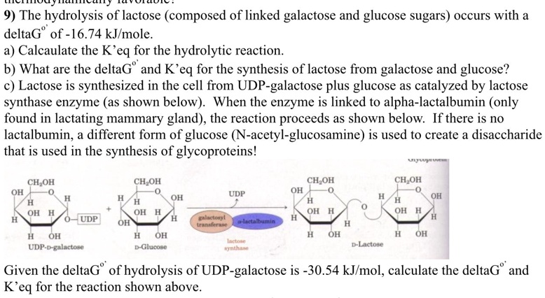 9) The hydrolysis of lactose (composed of linked gala… - SolvedLib