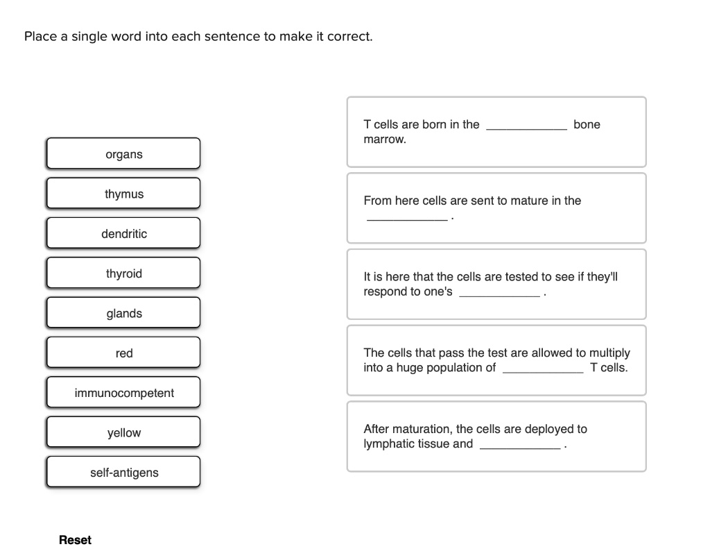 SOLVED Place a single word into each sentence to make it correct