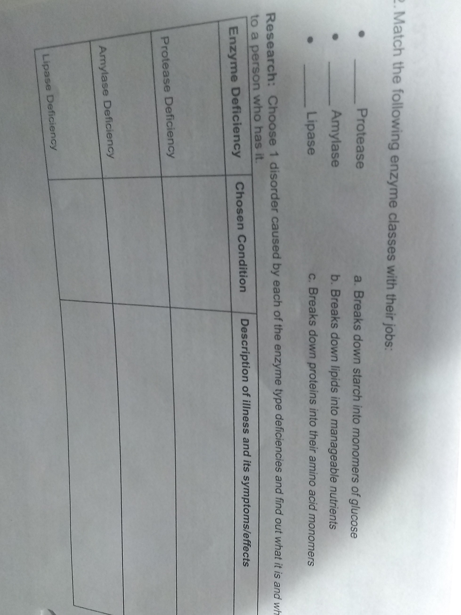 SOLVED Match the following enzyme classes with their jobs Protease a