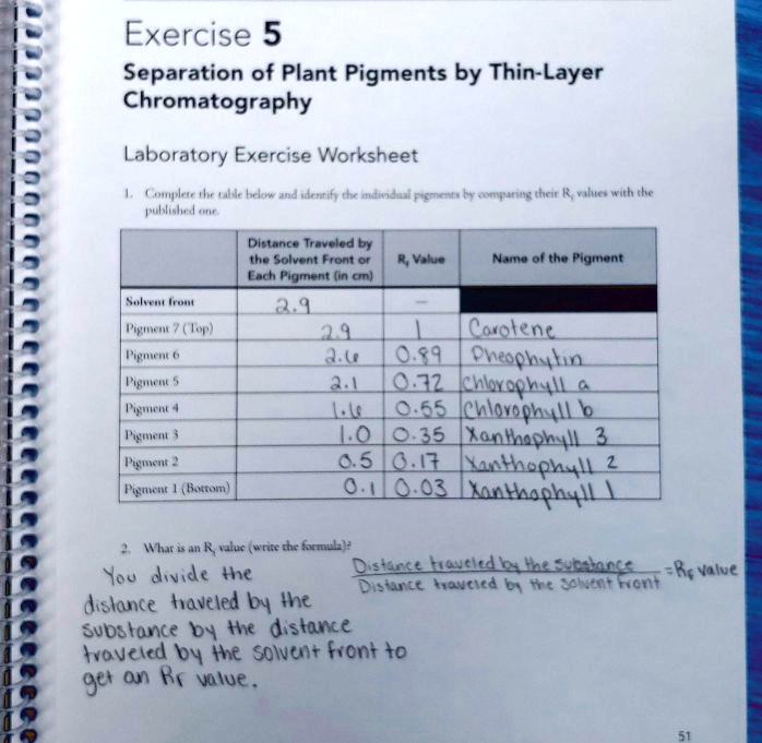 SOLVED:Exercise 5 Separation Of Plant Pigments By Thin-Layer ...