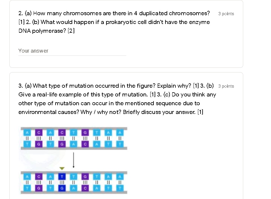 2. (a) How many chromosomes are there in 4 duplicated chromosomes? [1] 2. (b) What would happen if a prokaryotic cell didn't have the enzyme DNA polymerase? [2]
3. (a) What type of mutation occurred in the figure? Explain why? [1] 3. (b) Give a real-life example of this type of mutation. [1] 3. (c) Do you think any other type of mutation can occur in the mentioned sequence due to environmental causes? Why / why not? Briefly discuss your answer. [1]