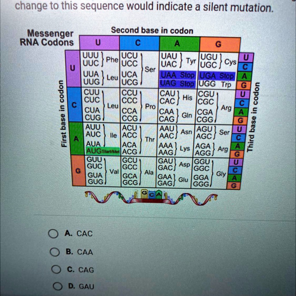 SOLVED 'A part of an mRNA has the sequence CAU. Use the table below to