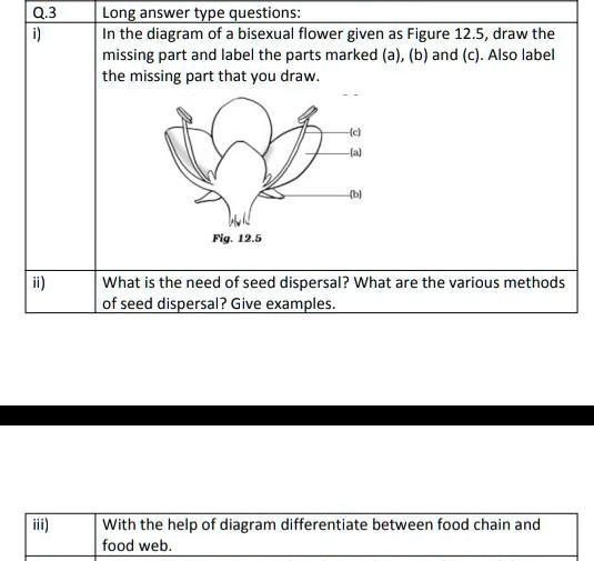 Q.3 Long answer type questions: i) In the diagram of a bisexual flower ...