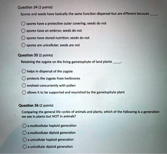 SOLVED Question 34 (2 points) Spores and seeds have basically the same