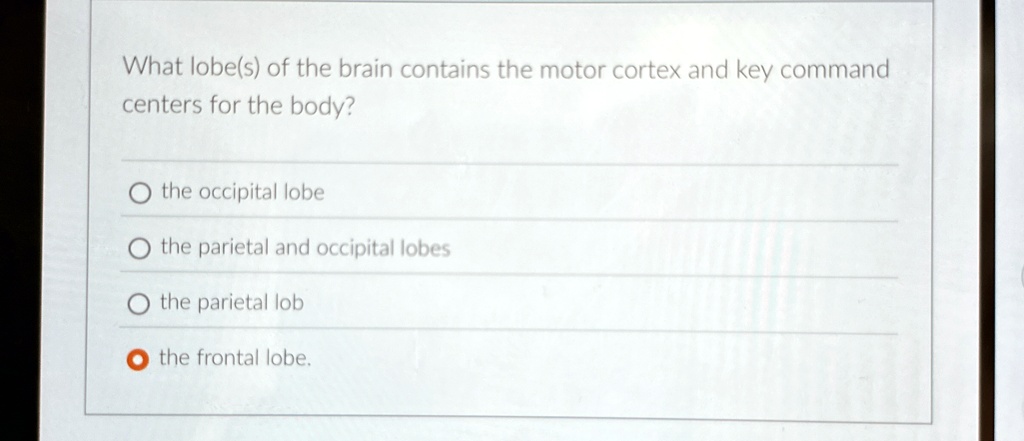 What lobe(s) of the brain contains the motor cortex and key command
centers for the body?
the occipital lobe
the parietal and occipital lobes
the parietal lob
the frontal lobe.