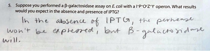 5. Suppose you performed a ?-galactosidase assay on E. coli with a I+P+OcZ+Y- operon. What results would you expect in the absence and presence of IPTG?

In the absence of IPTG, the permease won't be expressed, but ?-galactosidase will.