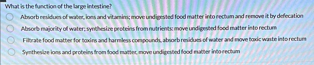 Undigested Formula what is the function of the large intestine absorb residues of water ...