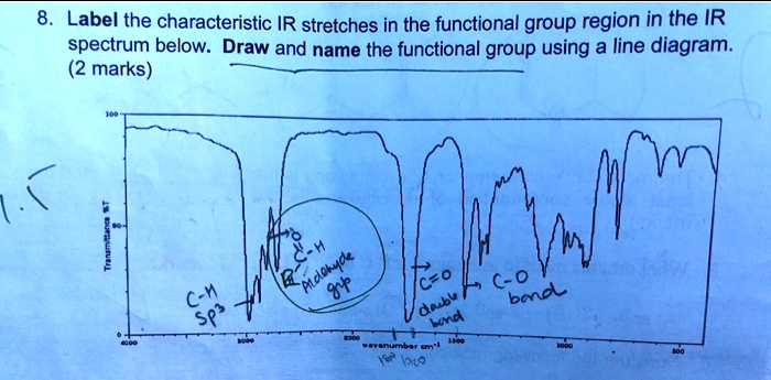 SOLVED: Label the characteristic IR stretches in the functional group ...