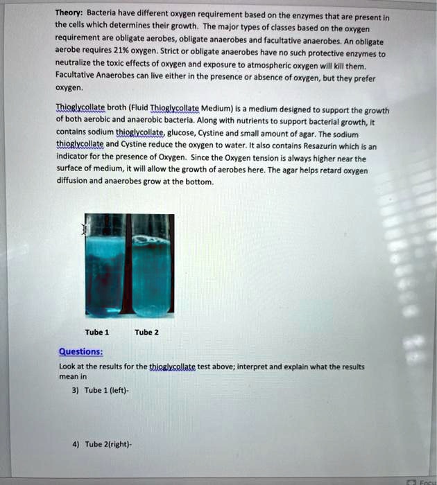 theory bacteria have different oxygen requirement based on the enzymes ...