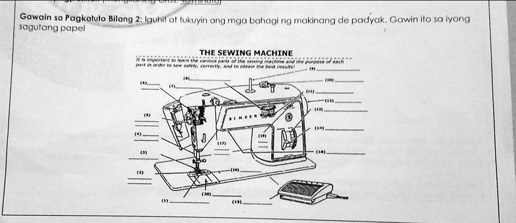 Solved Gawain Sa Pagkatuto Bilang 2 Iguhit At Tukuyin Ang Mga Bahagi